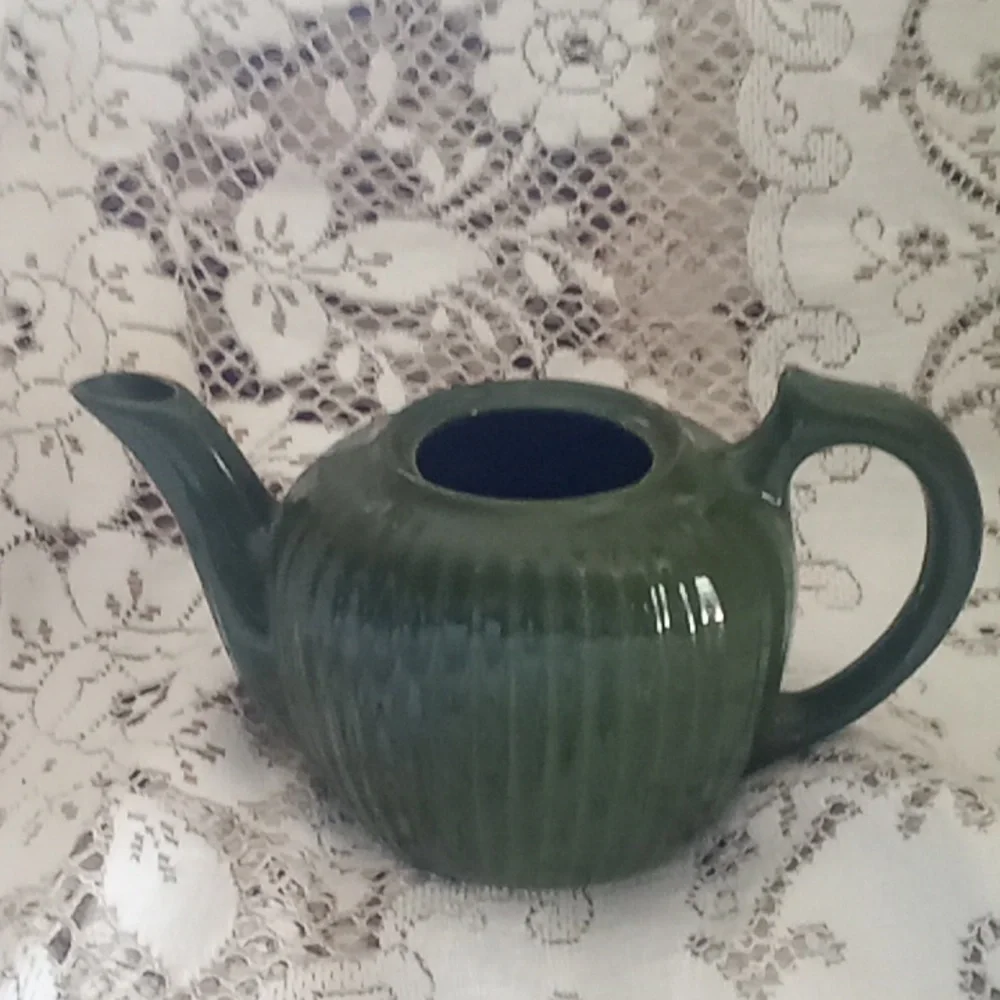 Vintage Fraunfelter teapot with 2 airplane plants